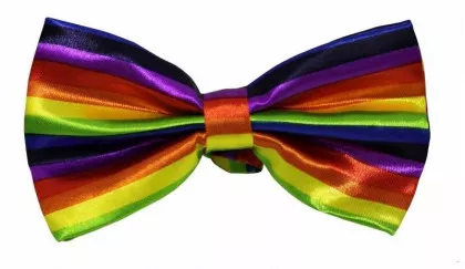 Regenbogen Fliege